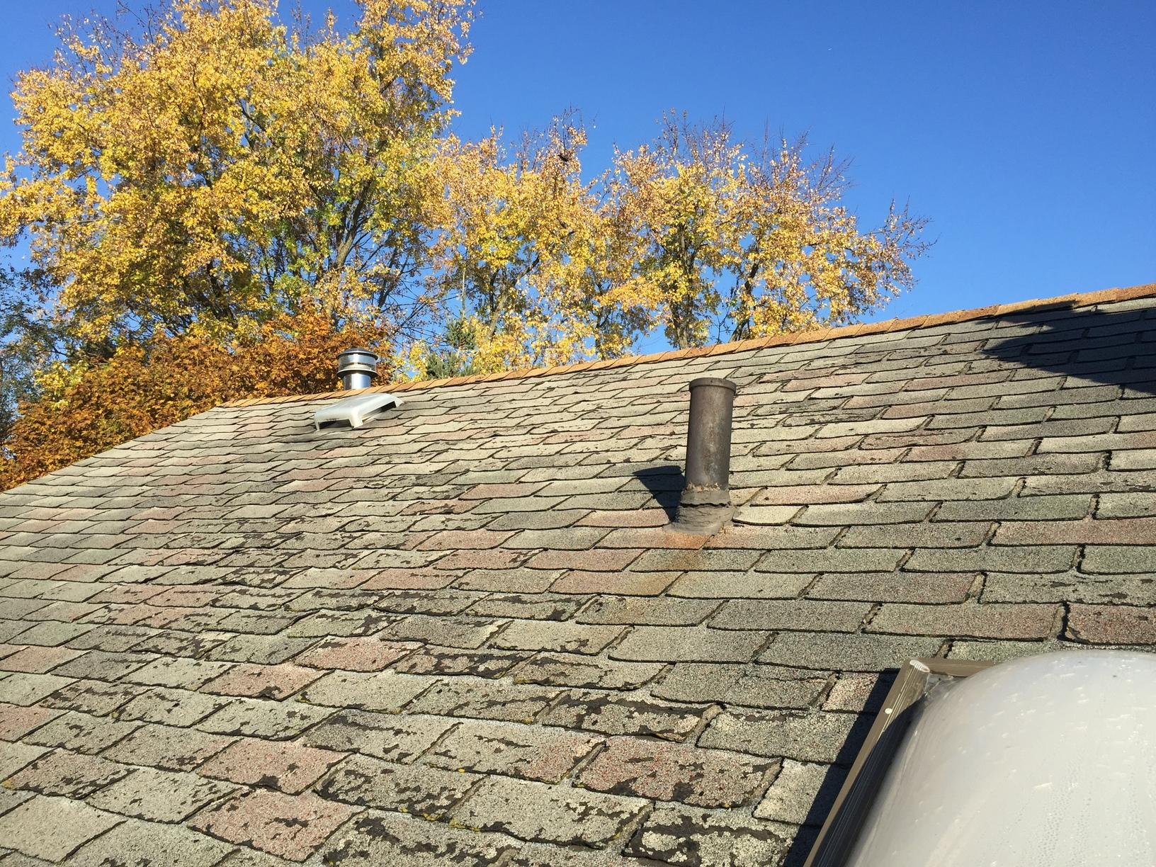 wear and tear roof.png