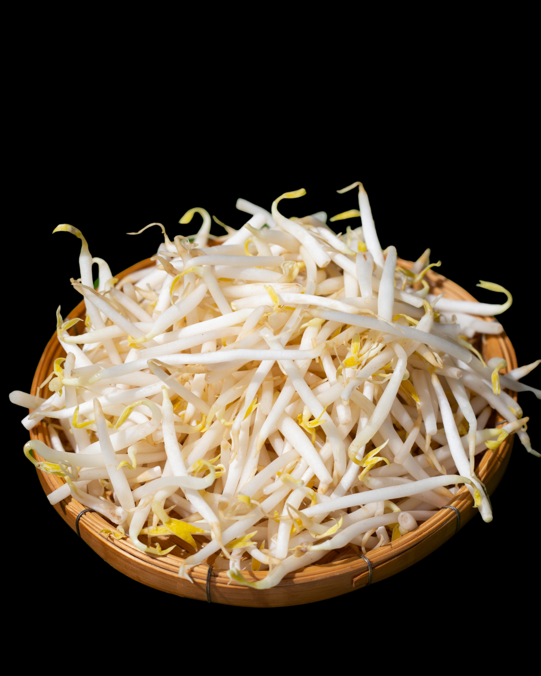 untitled (logo) (2).png