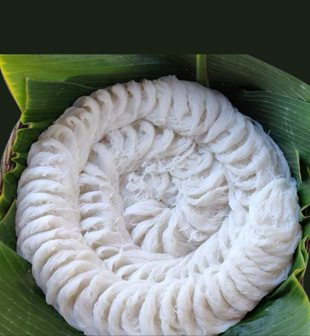 untitled design (1).png