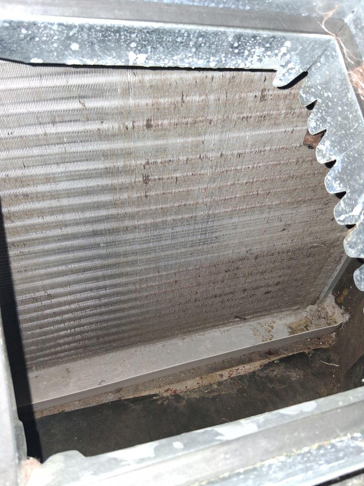 Dirty evaporator coil fins caked with dust and grime on a Spring TX AC system