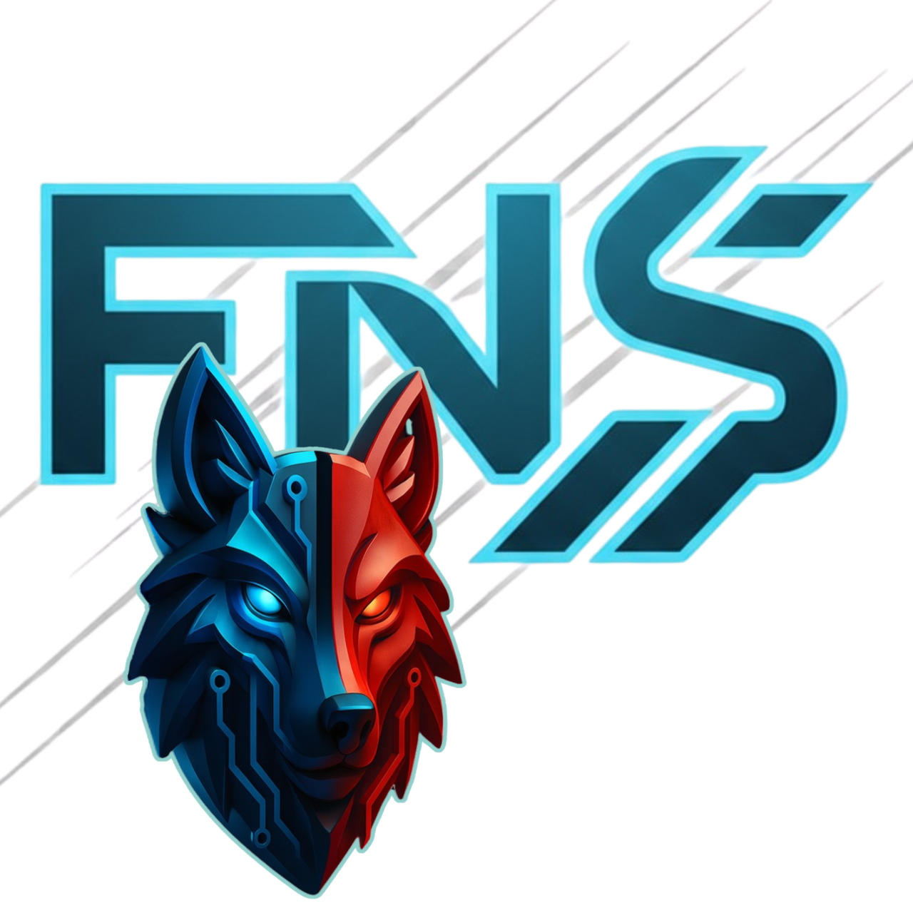 1fns_logo.png.png