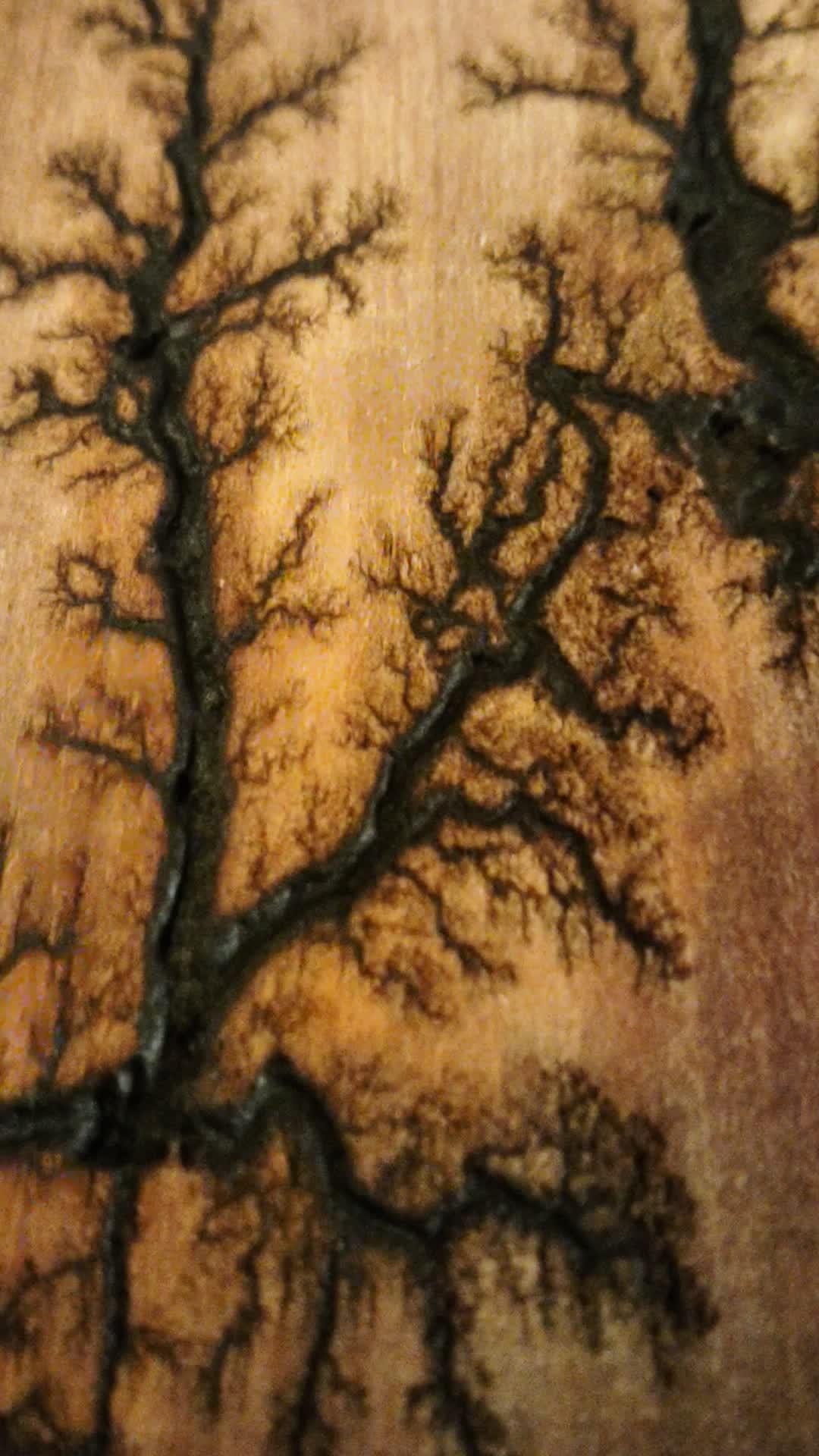 4c77536e-e385-4cff-9684-f79c1f83d9d9-1_all_3022.mp4