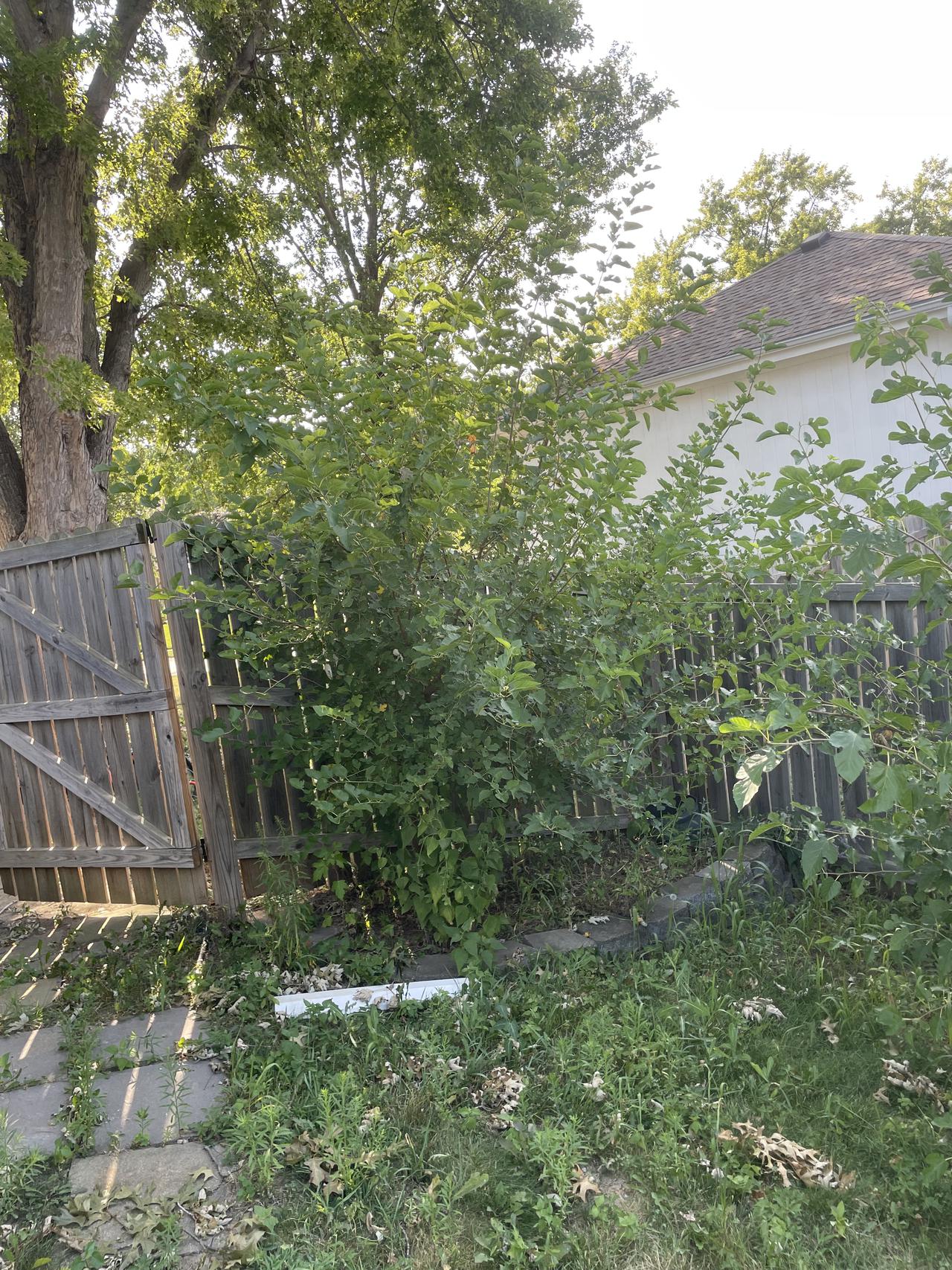 img_0046.jpeg