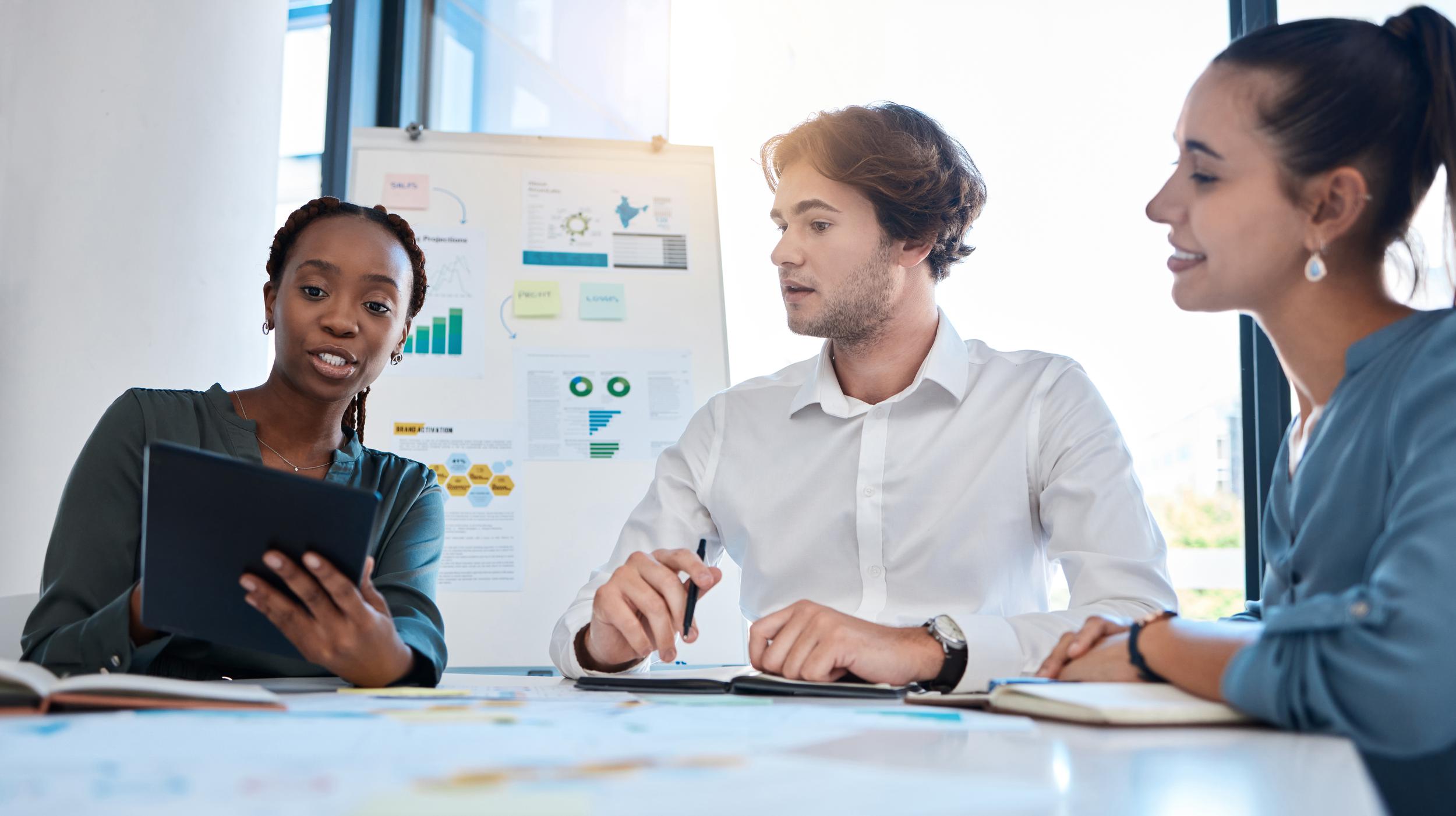 A business team providing a consulting service