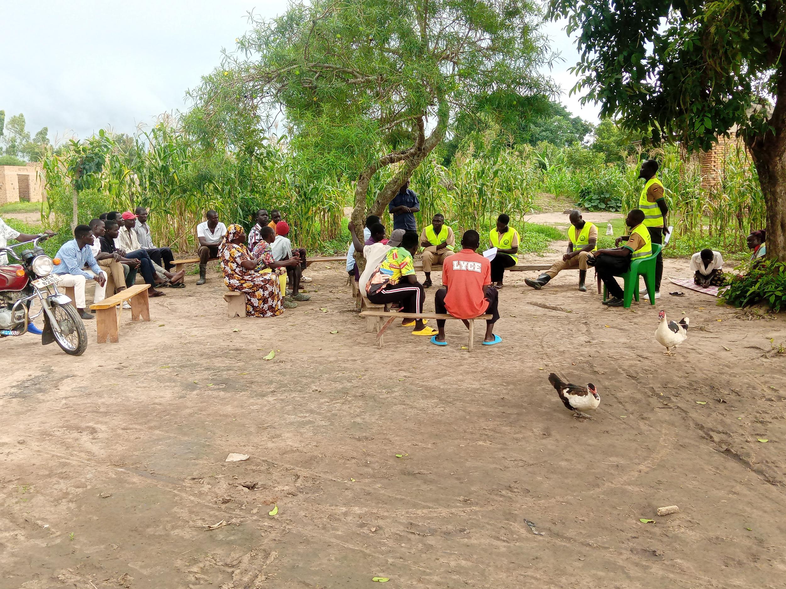 img_20231127_165655 - copy.jpg