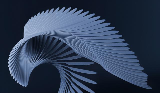 Bones