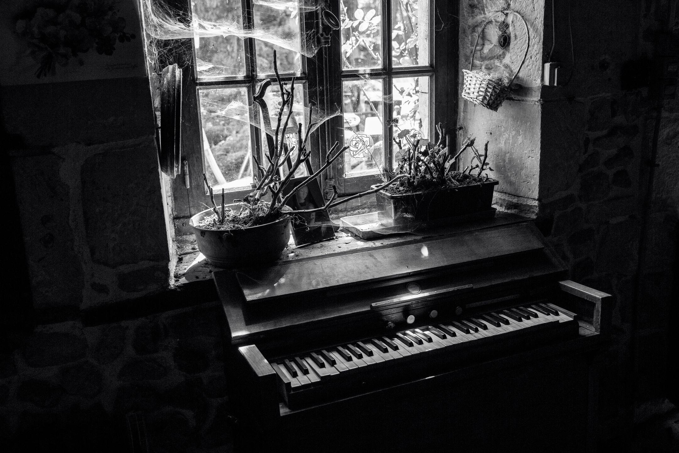 A black and white photo of a vintage piano near a window adorned with potted plants and cobwebs.
