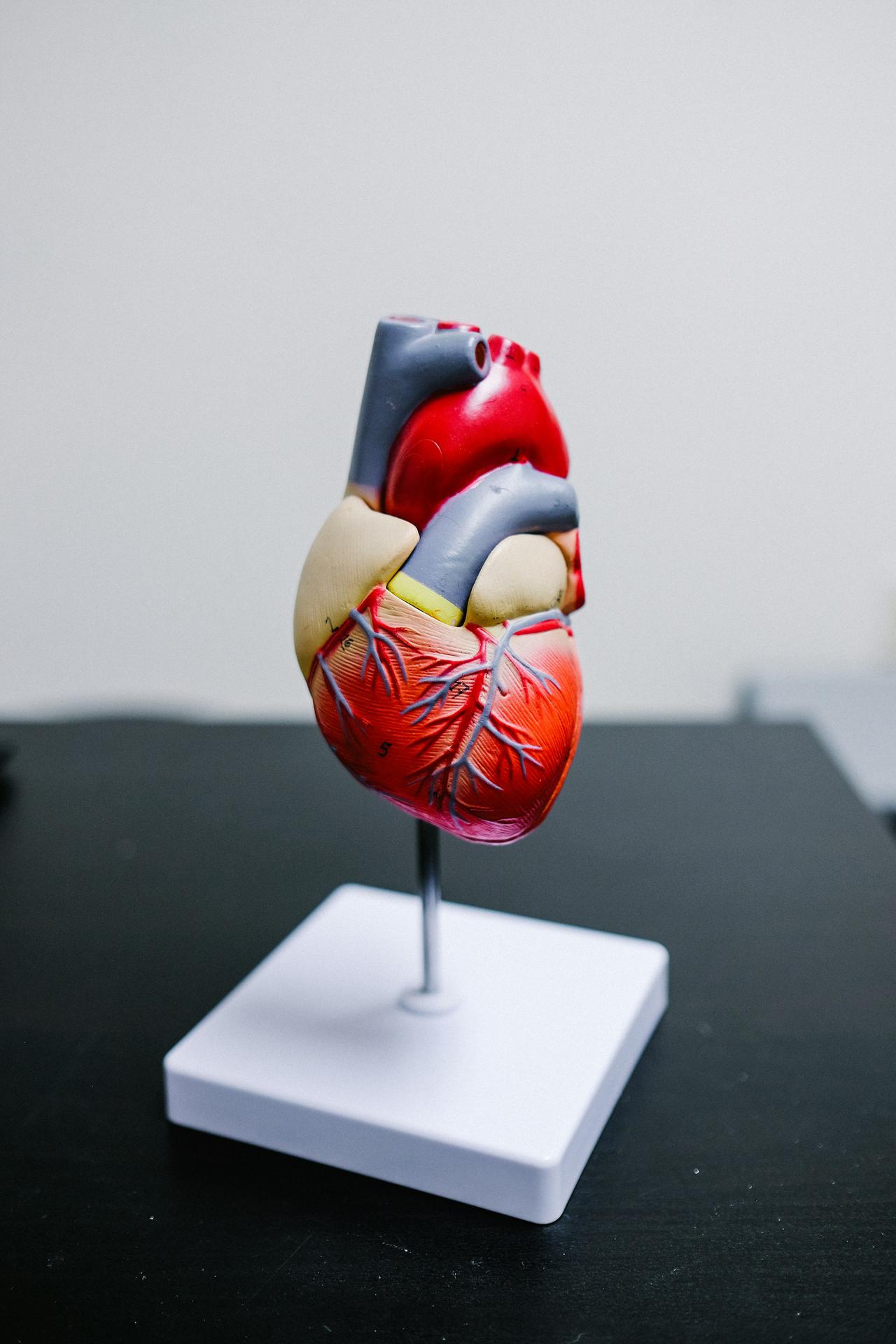 <strong>A HEART!</strong>