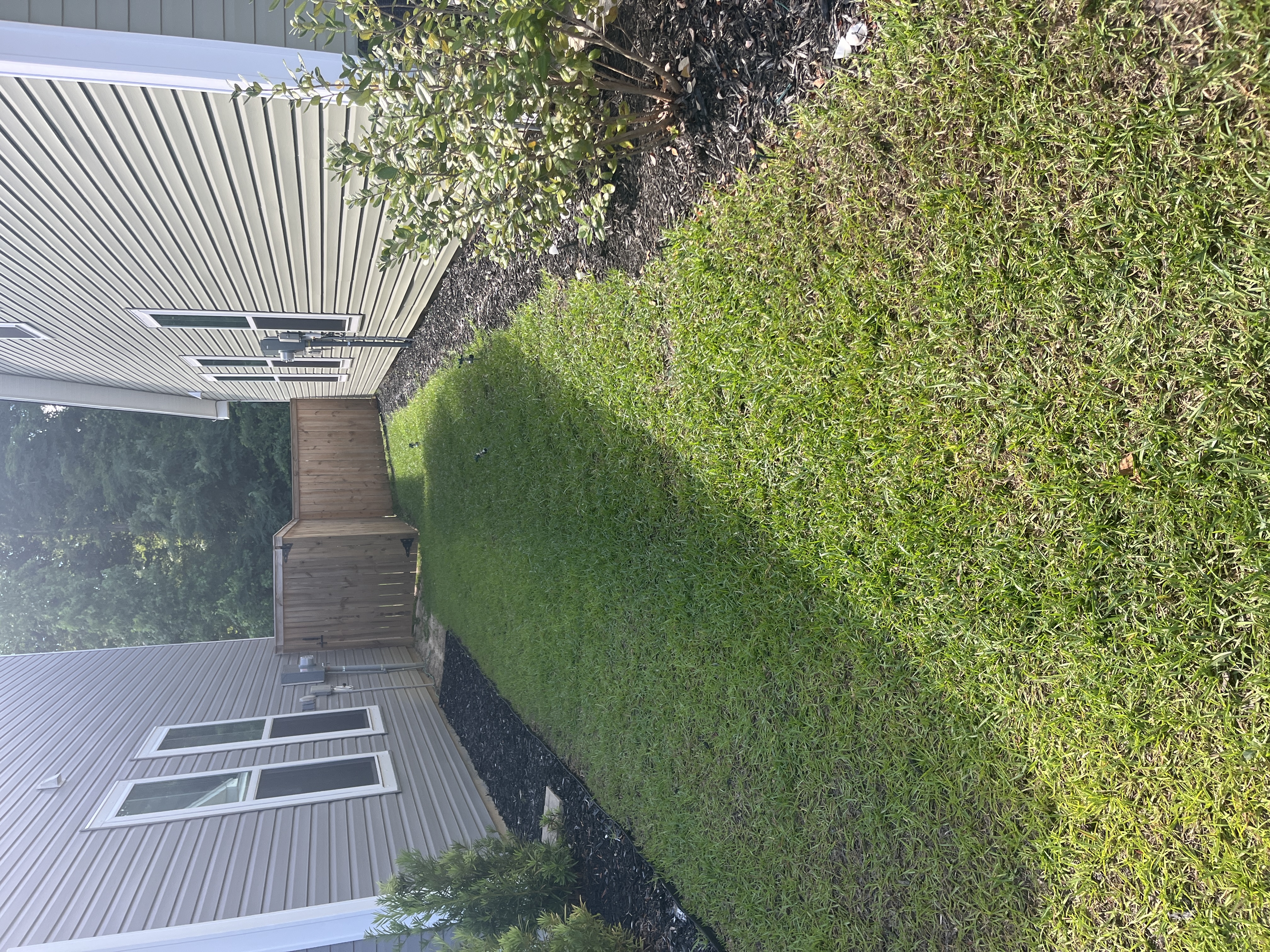 Before - House side view