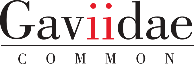 gaviidaelogo[55].png