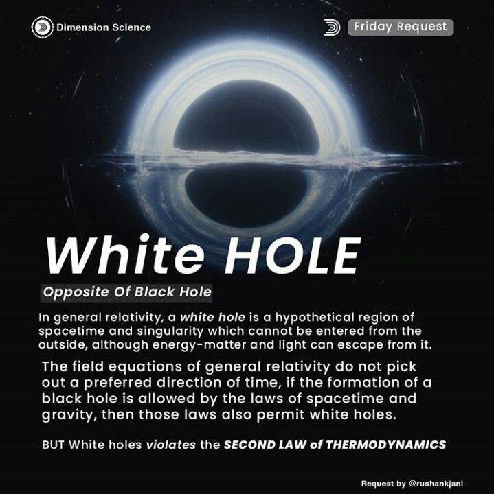 ✧.jpg
