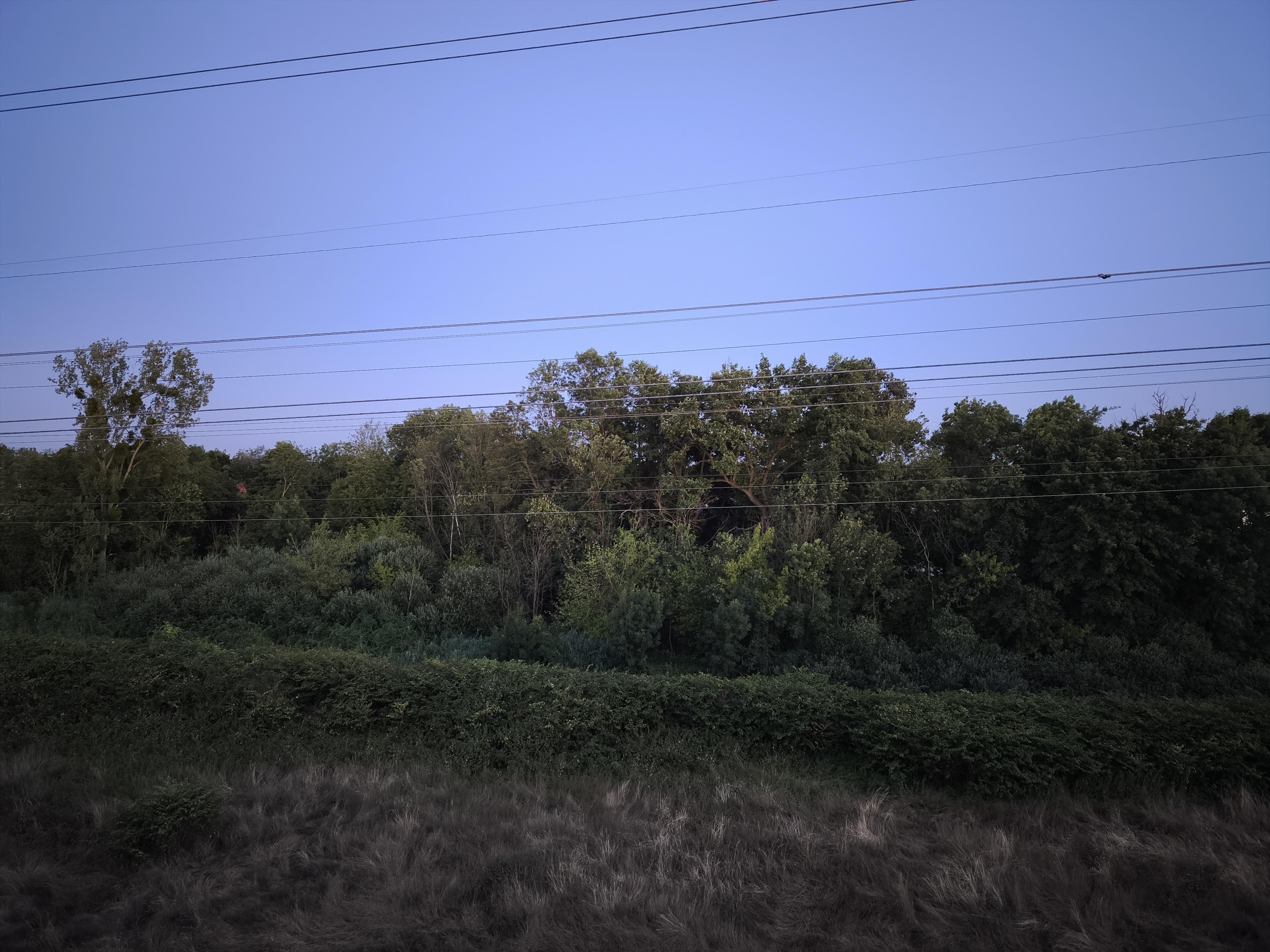 Le ciel nocturne d'Alsace : nature et sérénité
