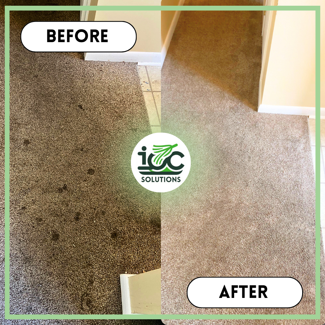 insta-sized posts-45.png