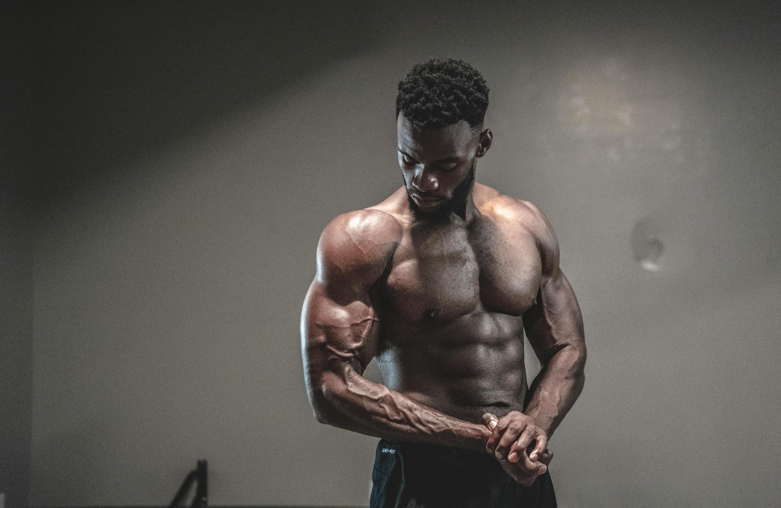 pexels-panther-1547248.jpg