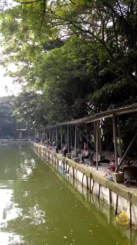 f.mp4