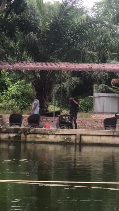 whatsapp video 2025-09-02 at 10.54.17 am.mp4
