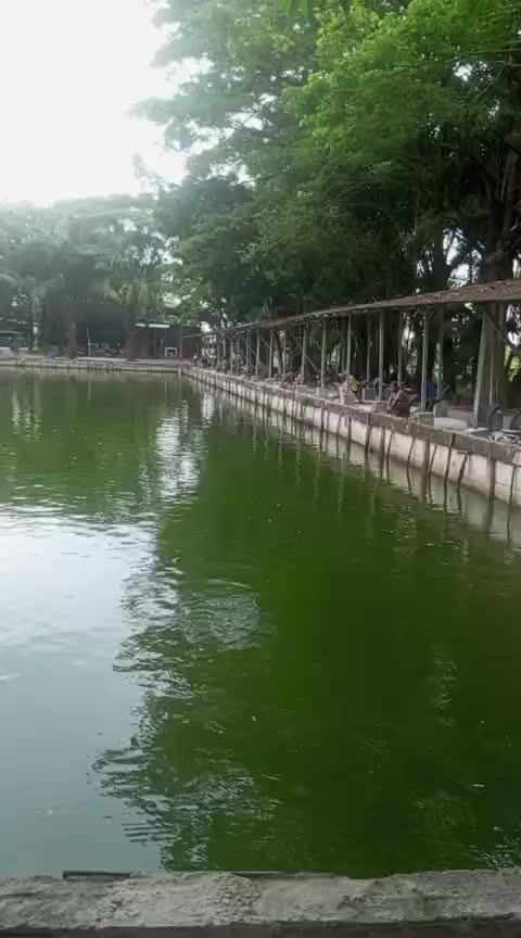 whatsapp video 2025-07-27 at 9.15.09 am.mp4