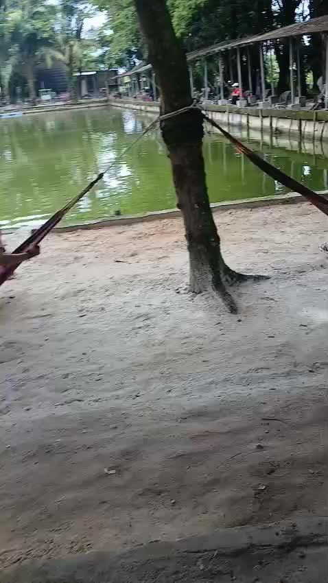 new.mp4