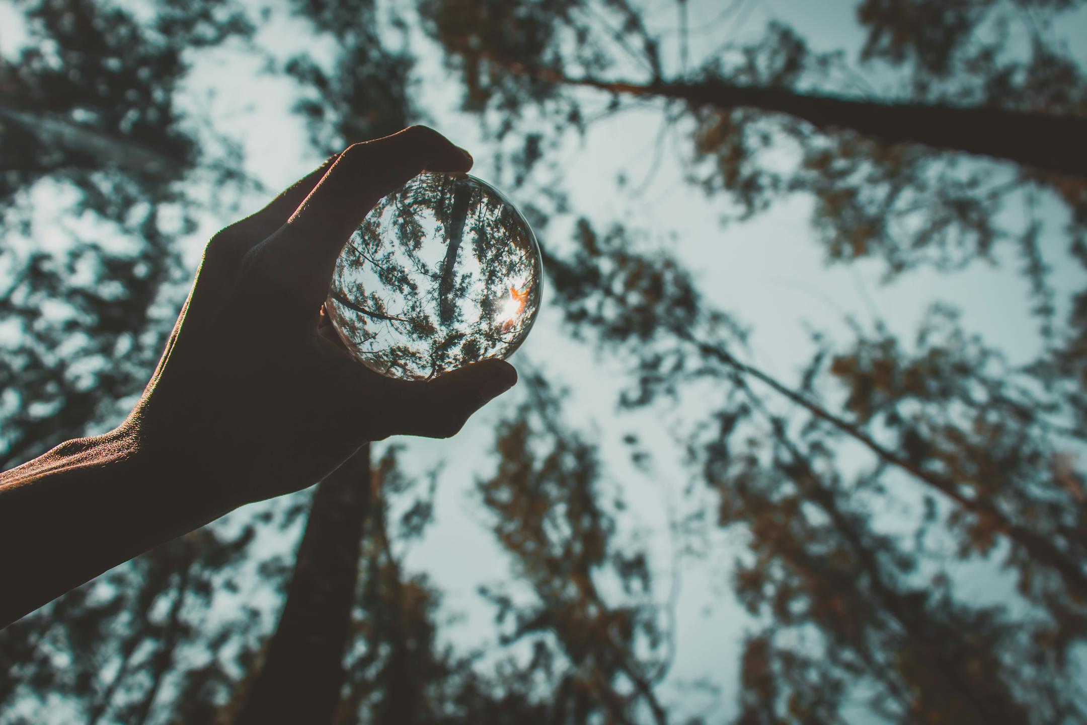 A hand holding a crystal ball reflecting trees in a serene forest setting.
