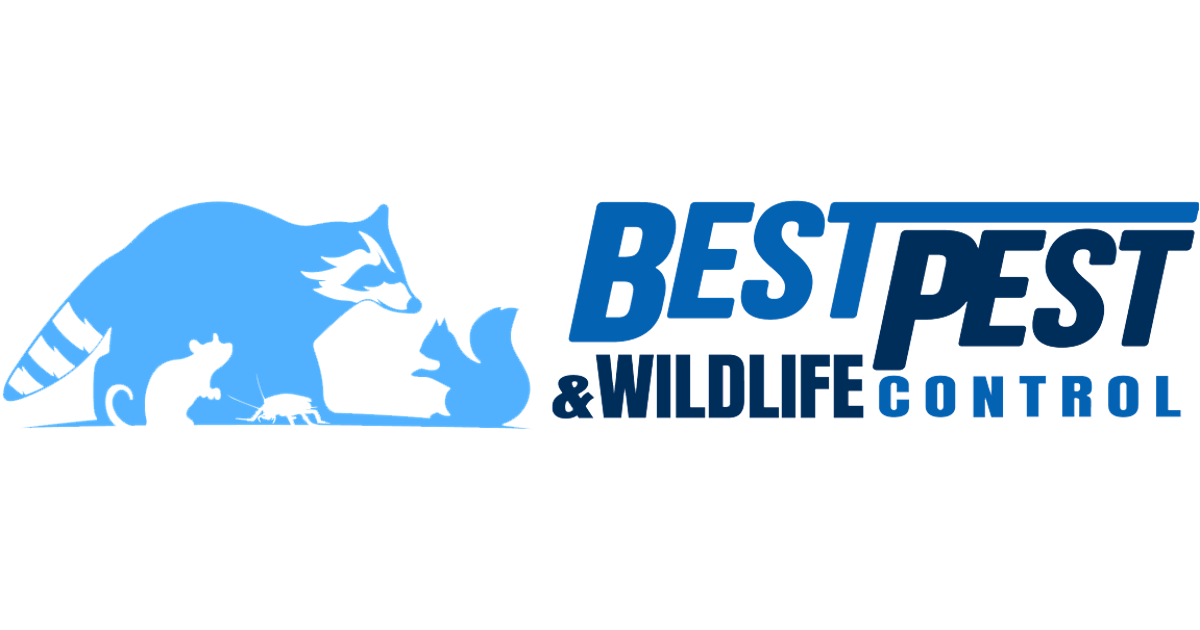 Premier Wildlife Control and Removal Services Best Pest & Wildlife