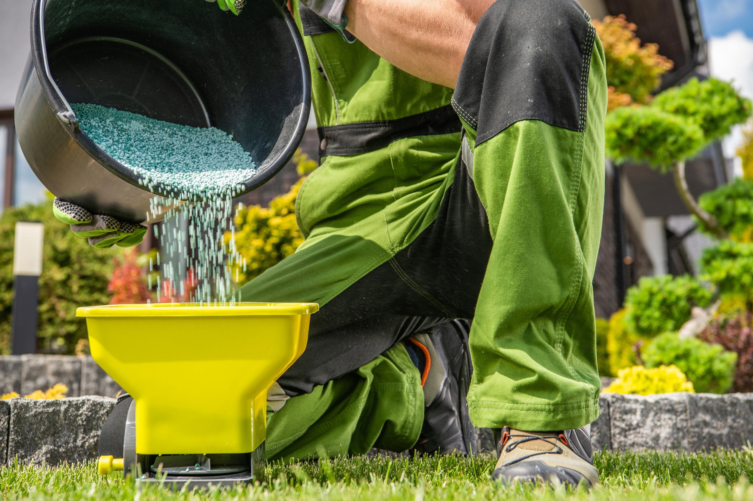 gardener-spreading-fertilizer-for-a-beautiful-gree-2026-09-23-22-39-34-utc.jpg