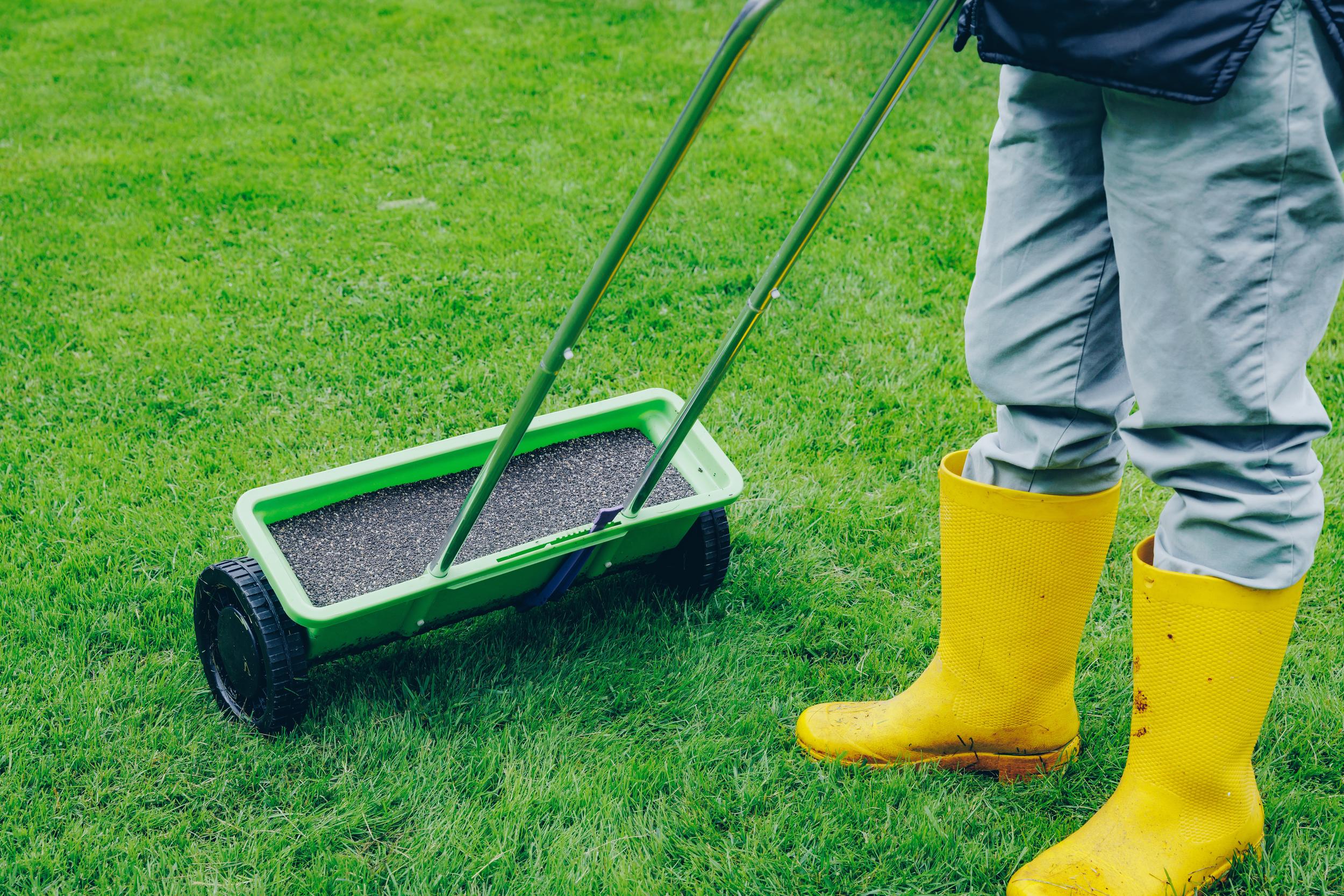 person-wearing-yellow-boots-using-a-lawn-spreader-2026-09-25-05-08-21-utc.jpg
