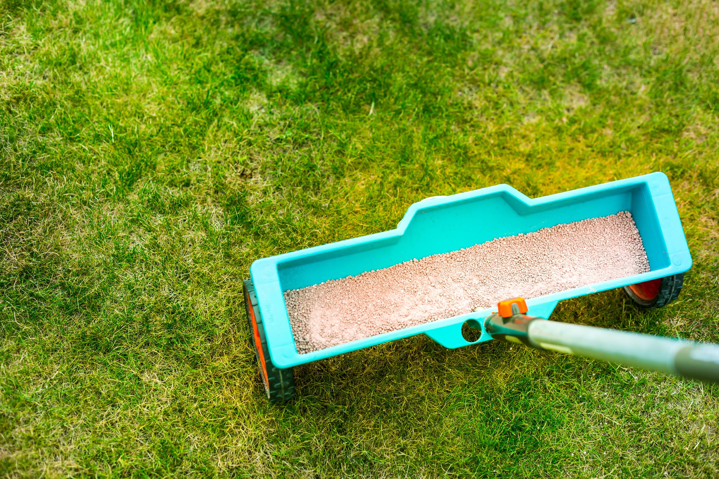lawn-care-with-spreader-on-green-grass-2026-09-23-01-57-48-utc.jpg