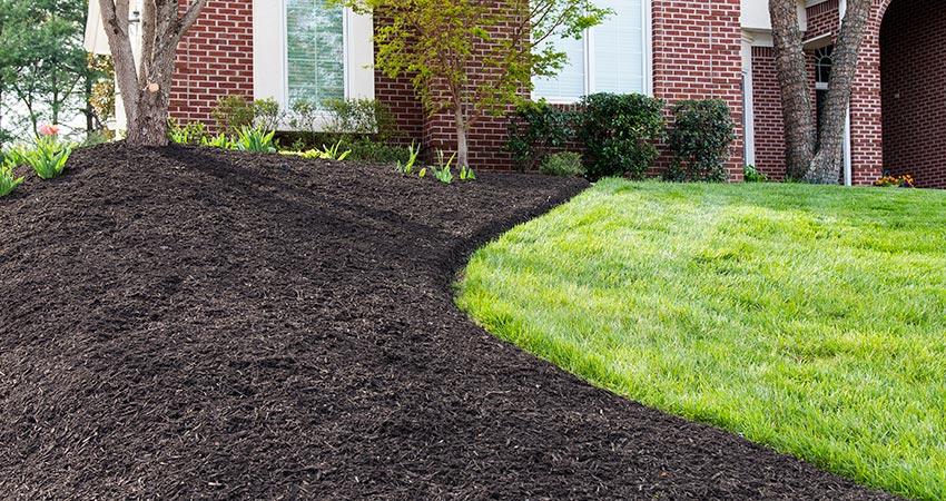 mulch+installation.jpg