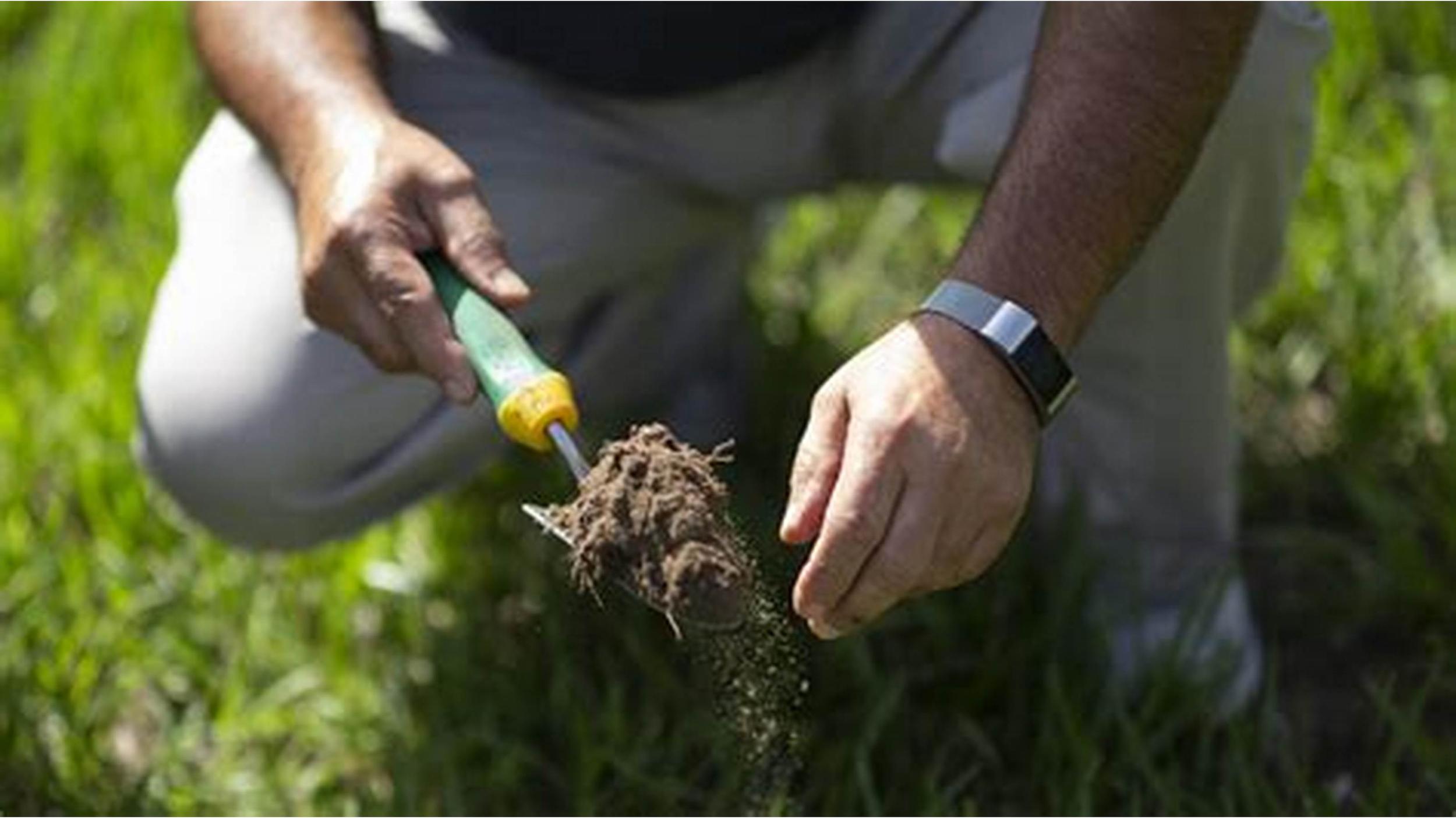 soil test.jpg