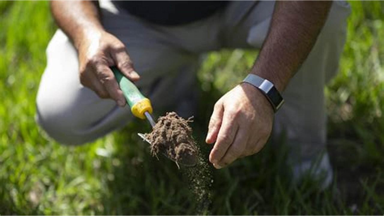 soil test.jpg