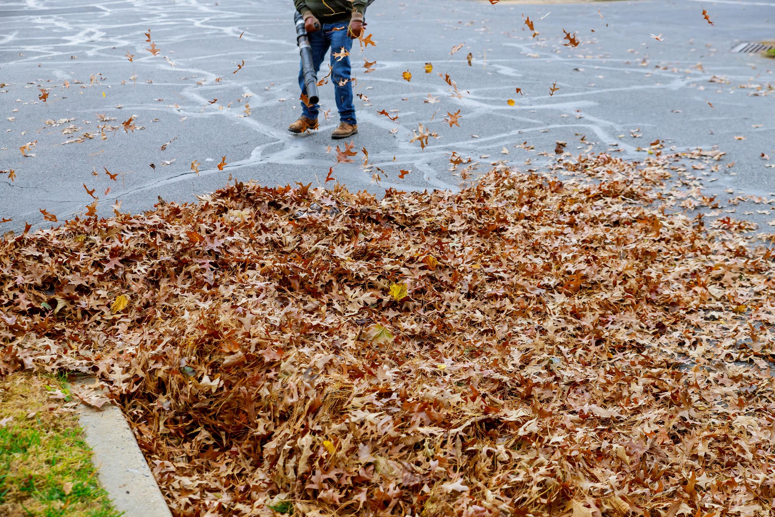 man-using-leaf-blower-to-clear-asphalt-lot-2026-09-24-12-16-29-utc.jpg