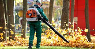 Leaf Cleanup / Removal can have so many benefits to your home then just curb appeal