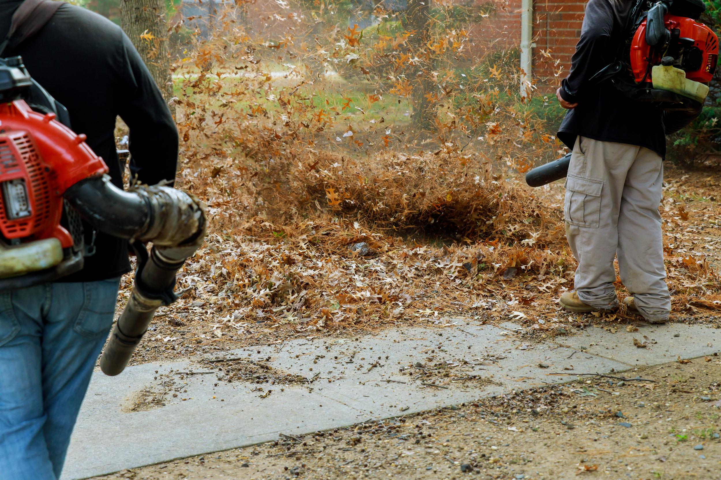 leaf-removal-with-backpack-blowers-during-autumn-2026-09-24-13-10-46-utc.jpg