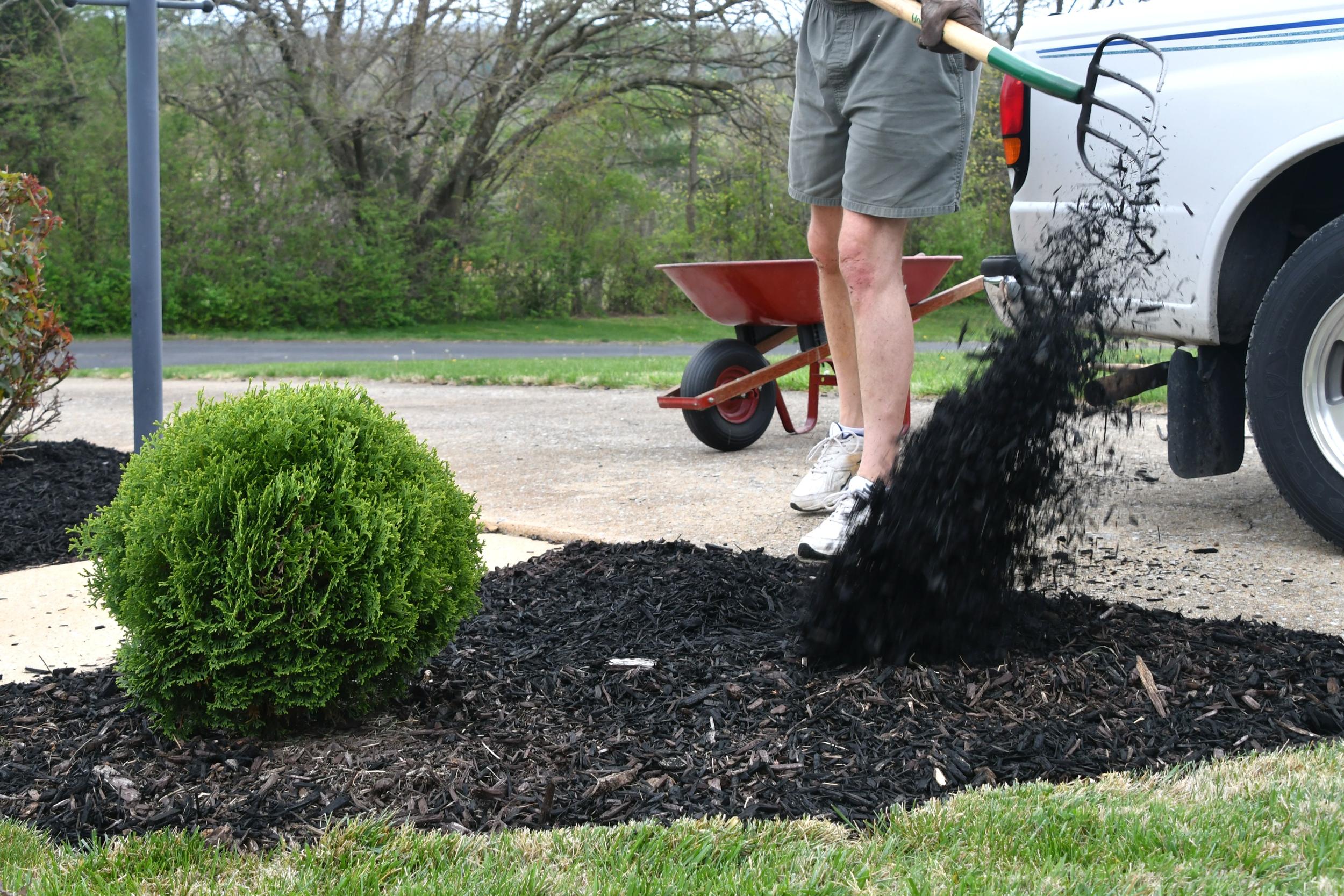 mulching-a-garden-bed-with-truck-load-of-mulch-2026-09-24-07-23-51-utc.jpg