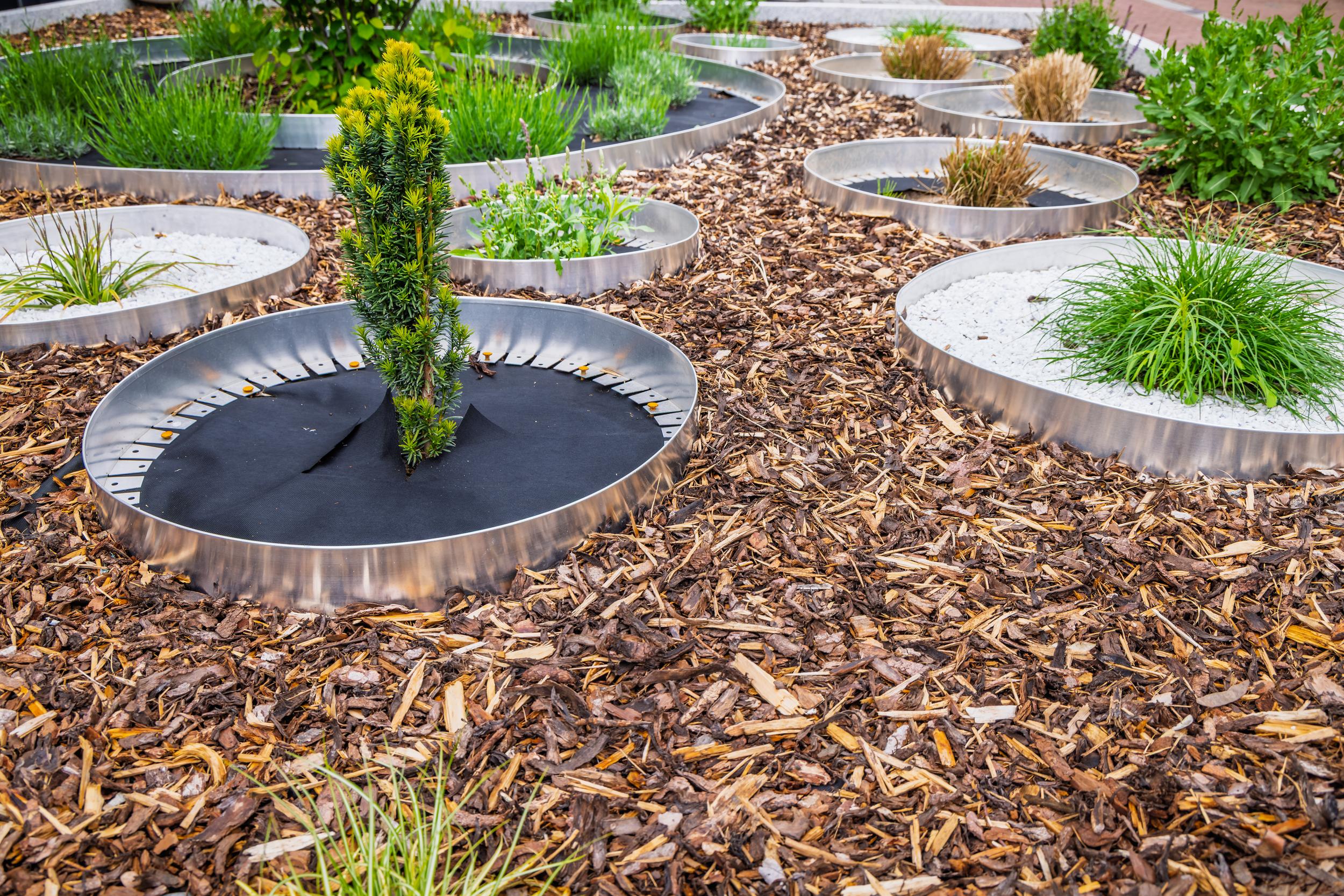 modern-landscaped-garden-with-circular-metal-plant-2026-09-25-07-05-24-utc.jpg