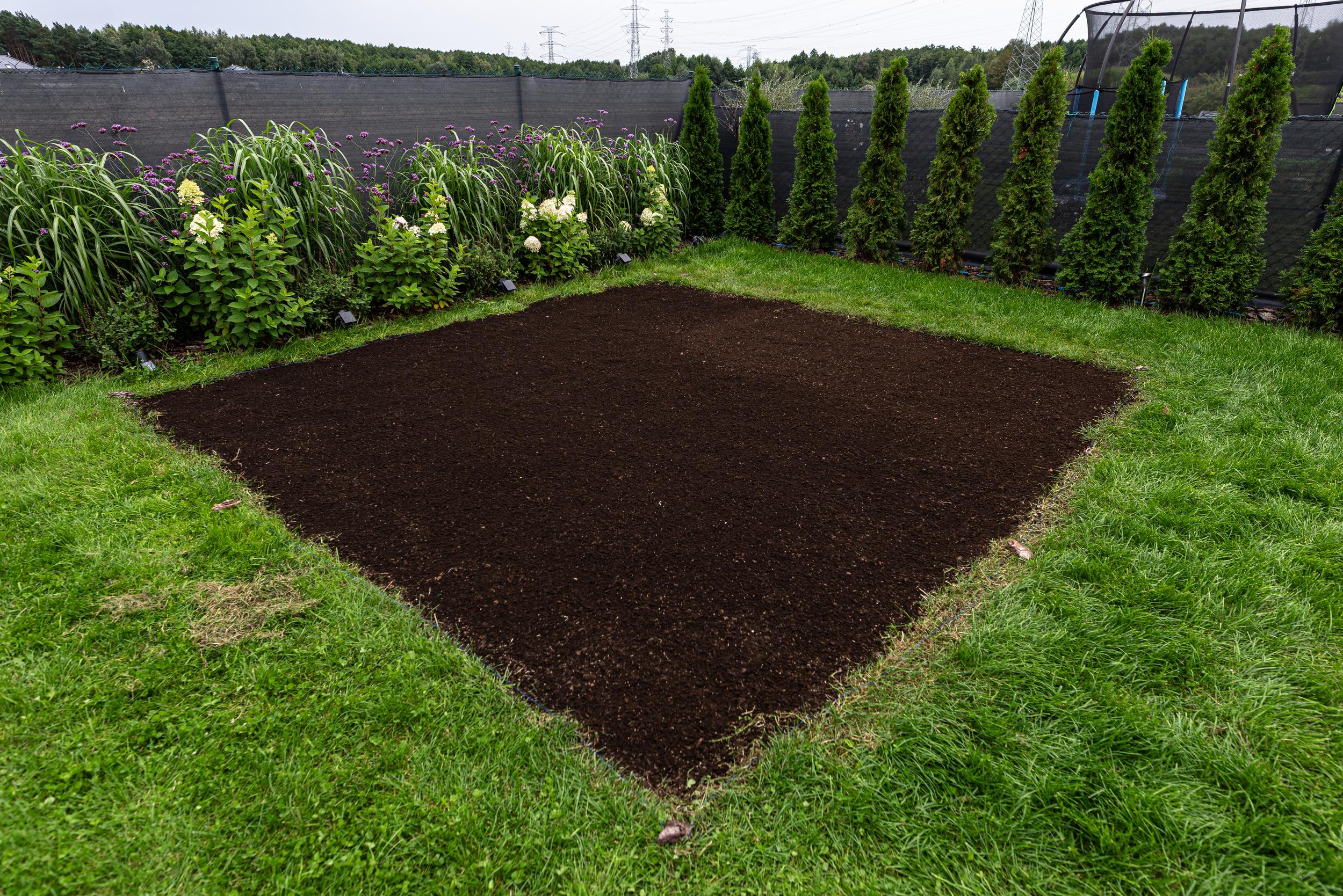 square-patch-of-fresh-dark-soil-in-a-green-suburba-2026-09-04-01-53-19-utc.jpg