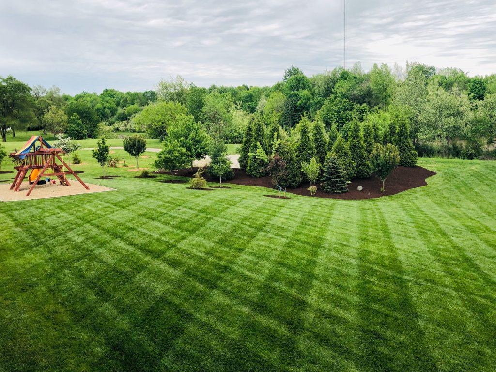 lawn.jpg