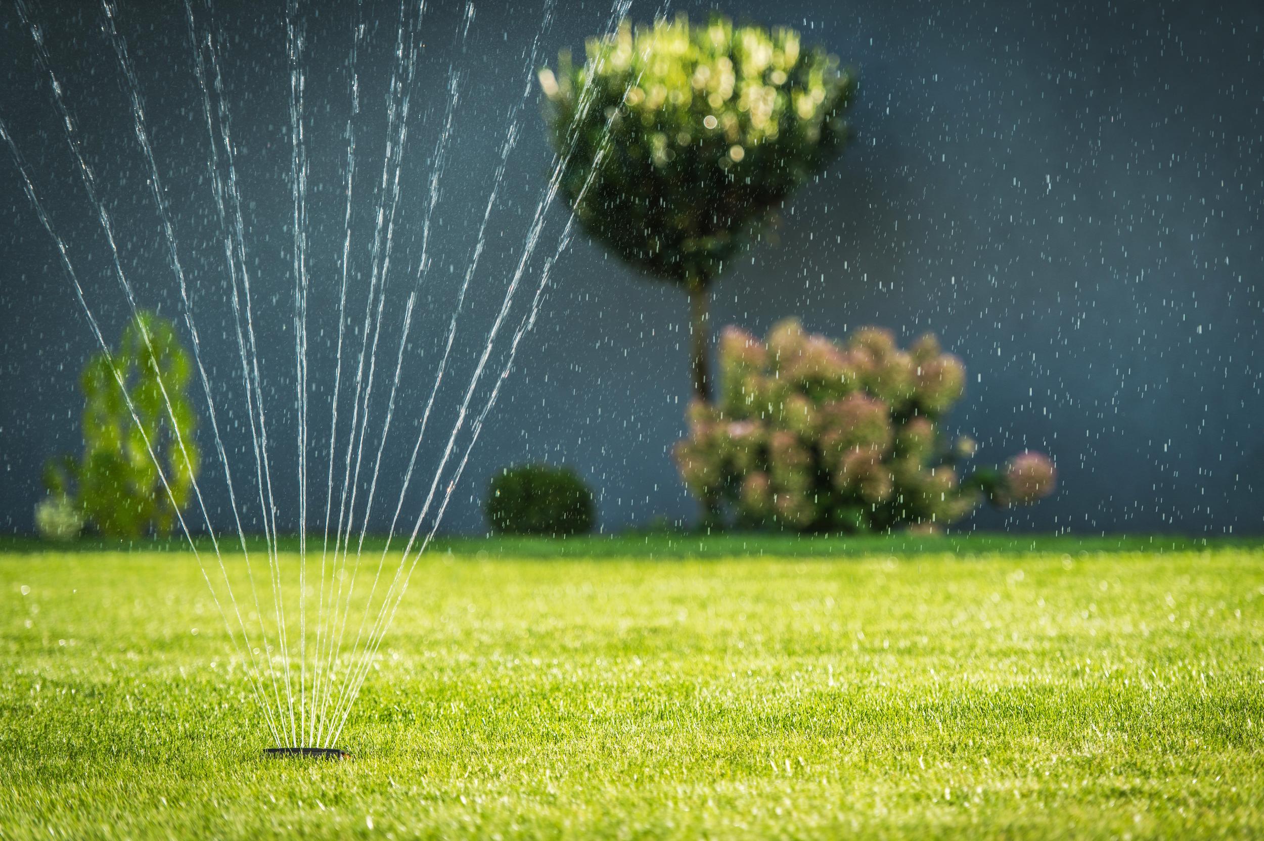 lawn-irrigation-system-watering-grass-in-residenti-2026-09-23-21-38-14-utc.jpg
