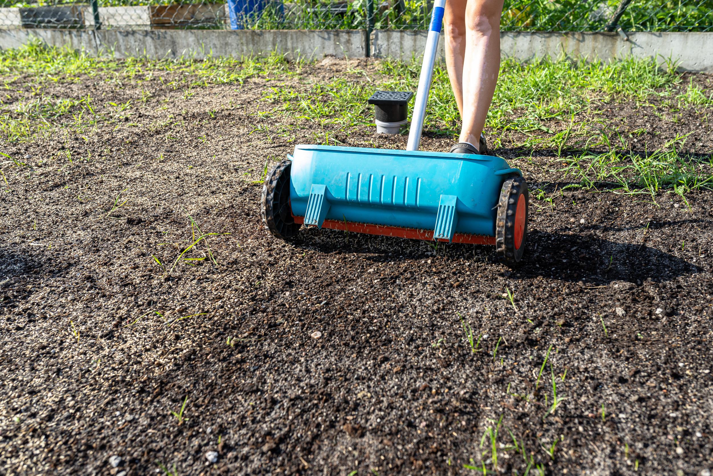 person-spreading-grass-seeds-on-lawn-with-tool-2026-09-23-20-50-06-utc.jpg