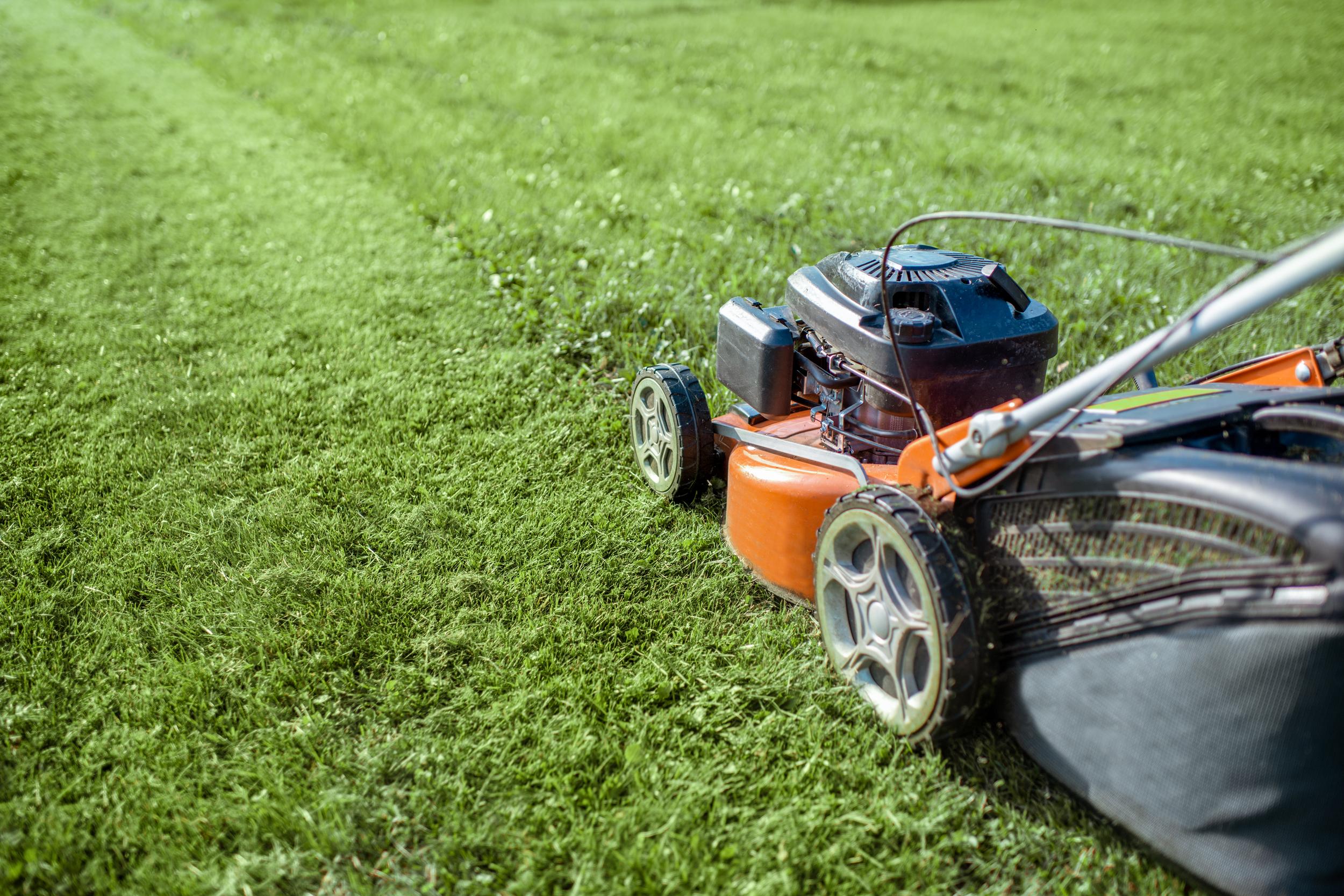 mowing-grass-with-a-lawn-mower-outside-2026-09-24-11-38-56-utc.jpg