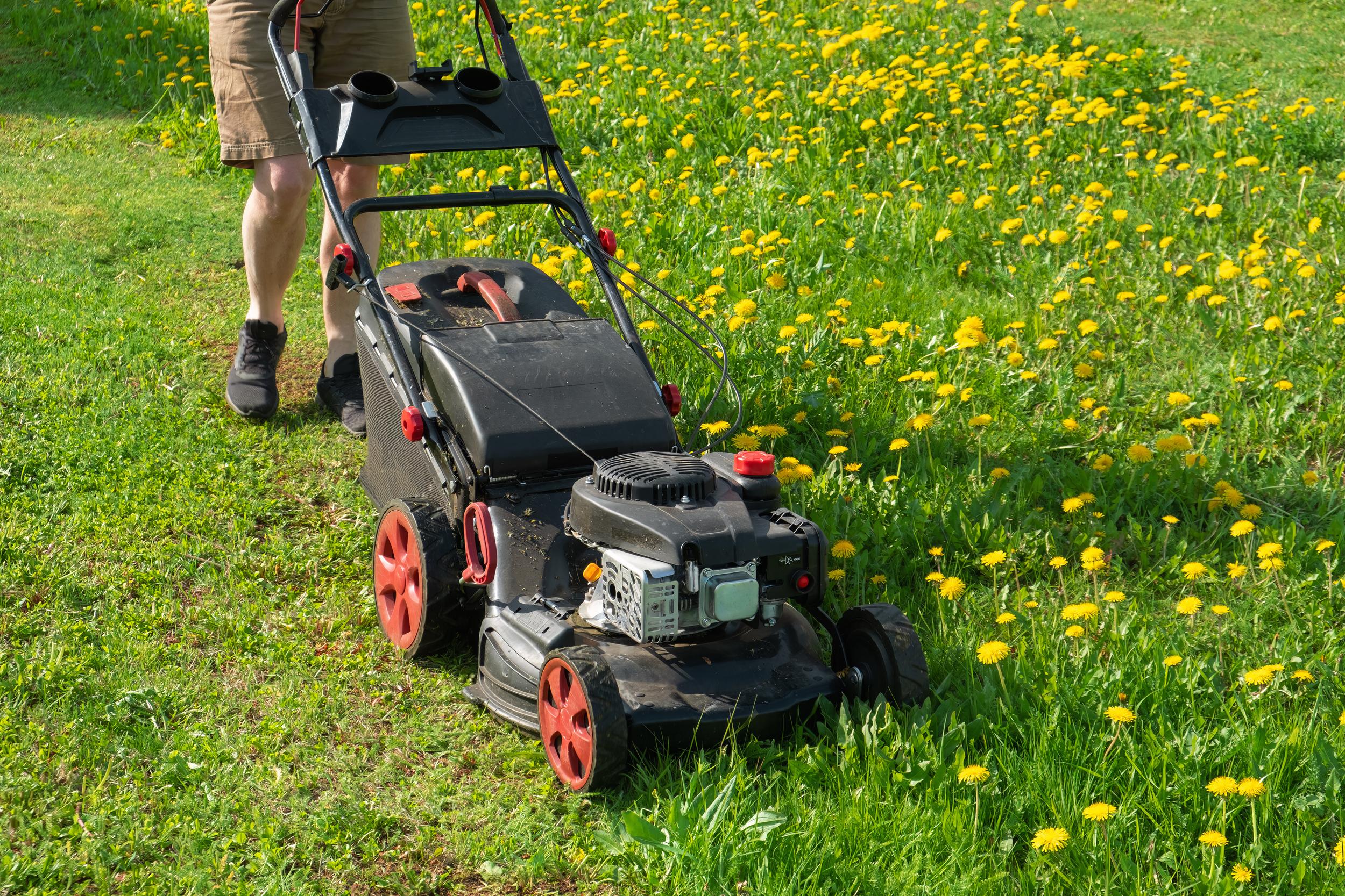 lawn-mower-cutting-grass-in-a-field-2026-09-22-17-00-33-utc.jpg