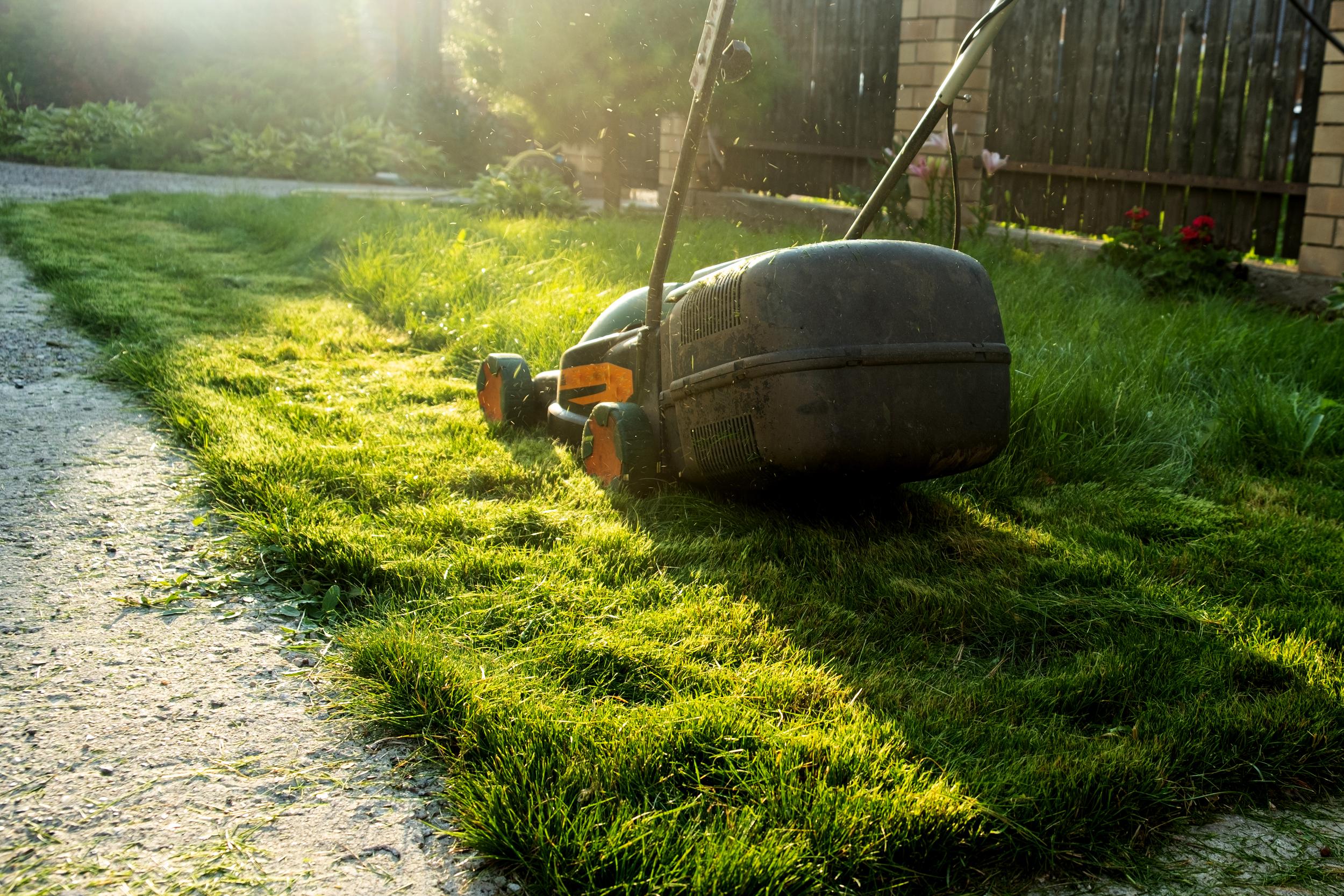 lawnmower-on-green-grass-in-suburban-yard-2026-09-24-14-40-45-utc.jpg