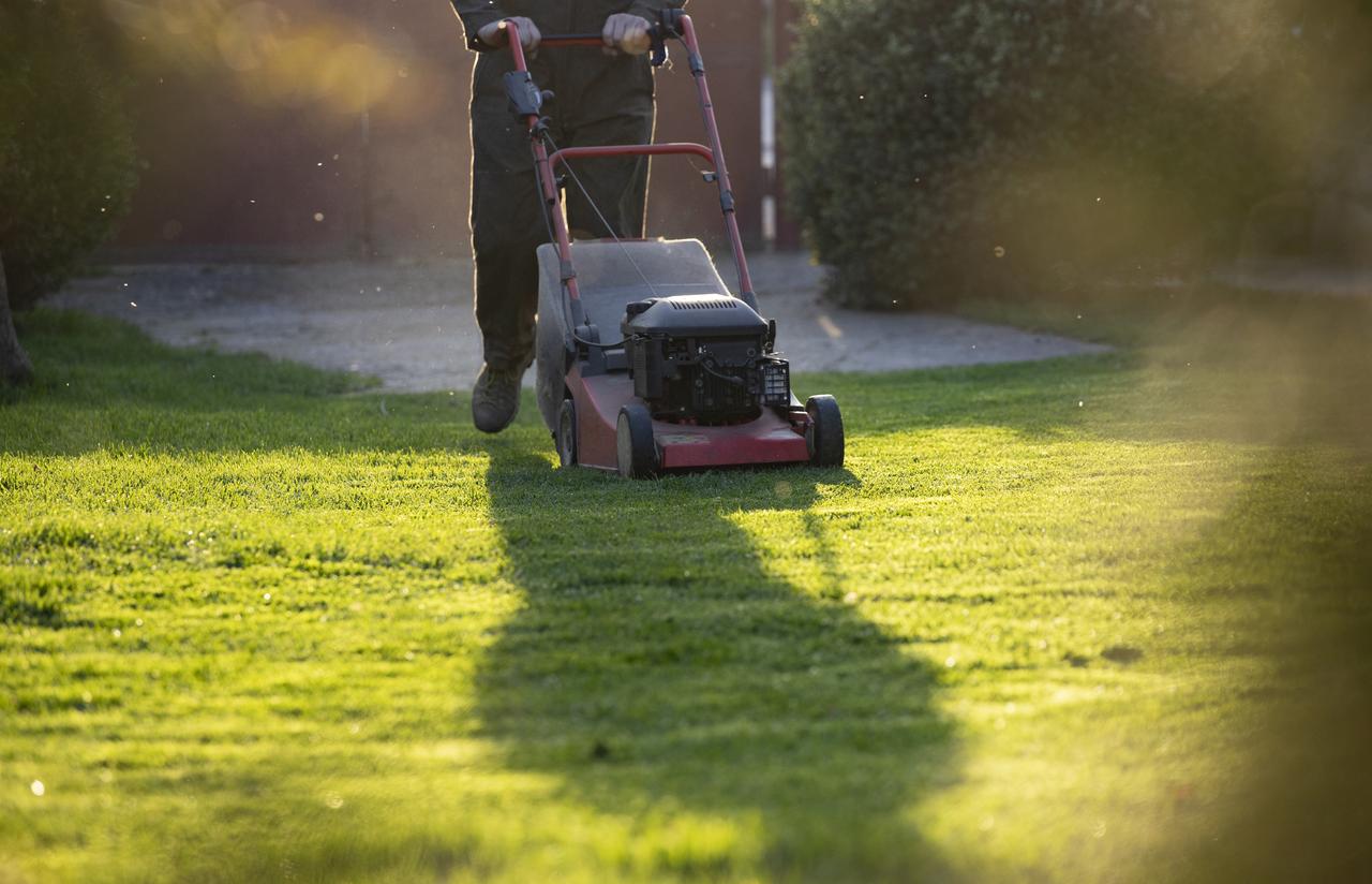 yard-work-with-lawn-mower-during-golden-hour-2026-09-24-10-00-09-utc.jpg