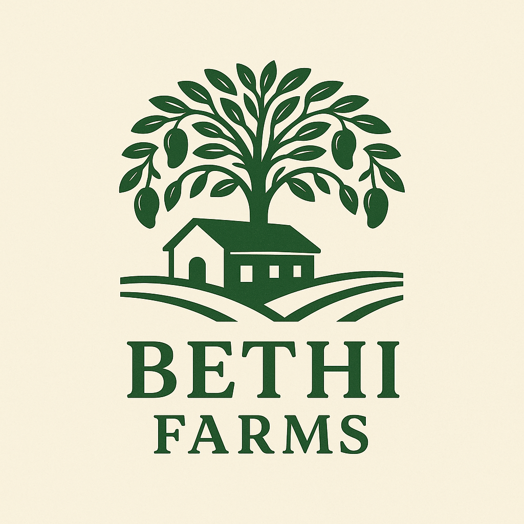 chatgpt image dec 12, 2025 at 03_22_47 pm.png