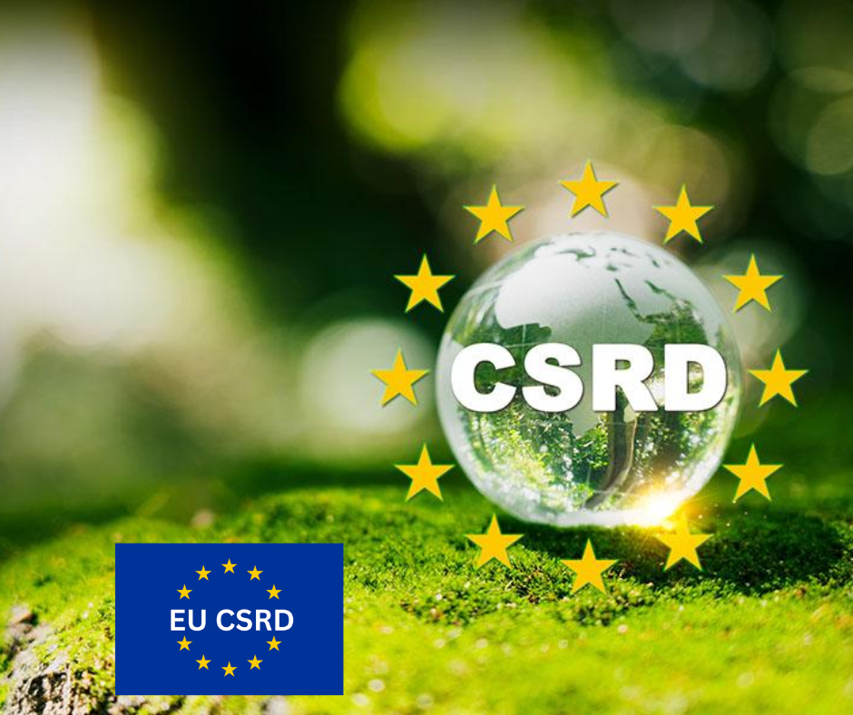 untitled design (4).png