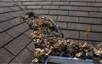 gutter debris resize 350x220.png