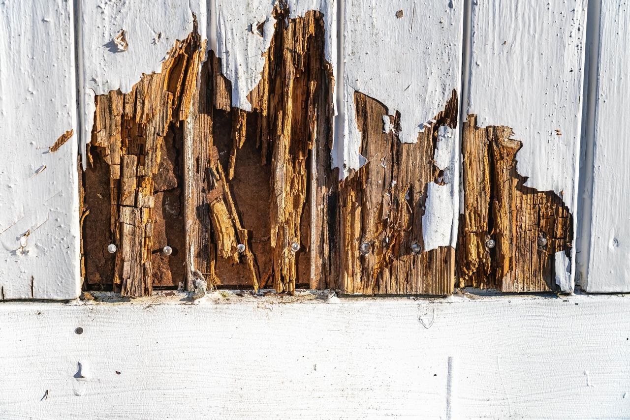 rotted+siding-min-2880w.jpg