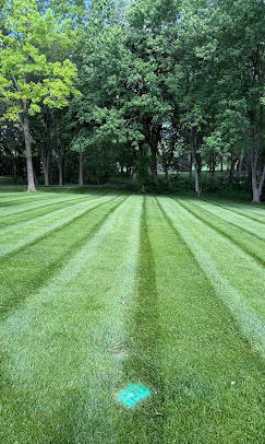 Professionally maintained residential lawn with clean mowing stripes