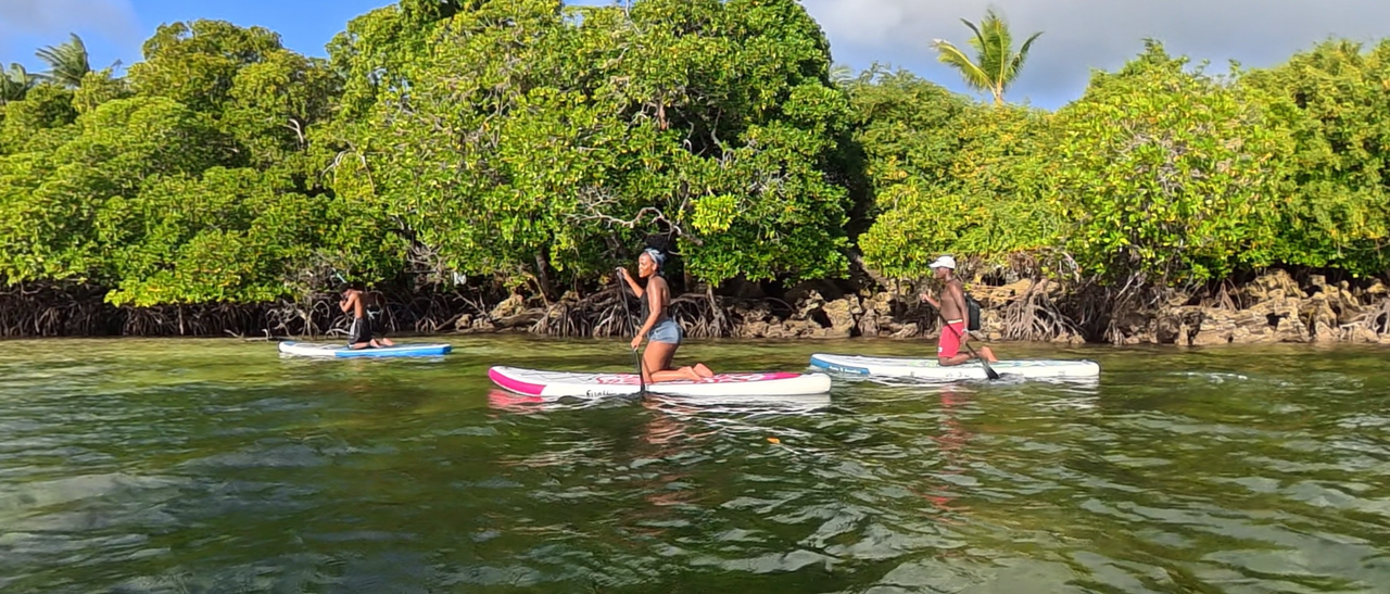 Paddle