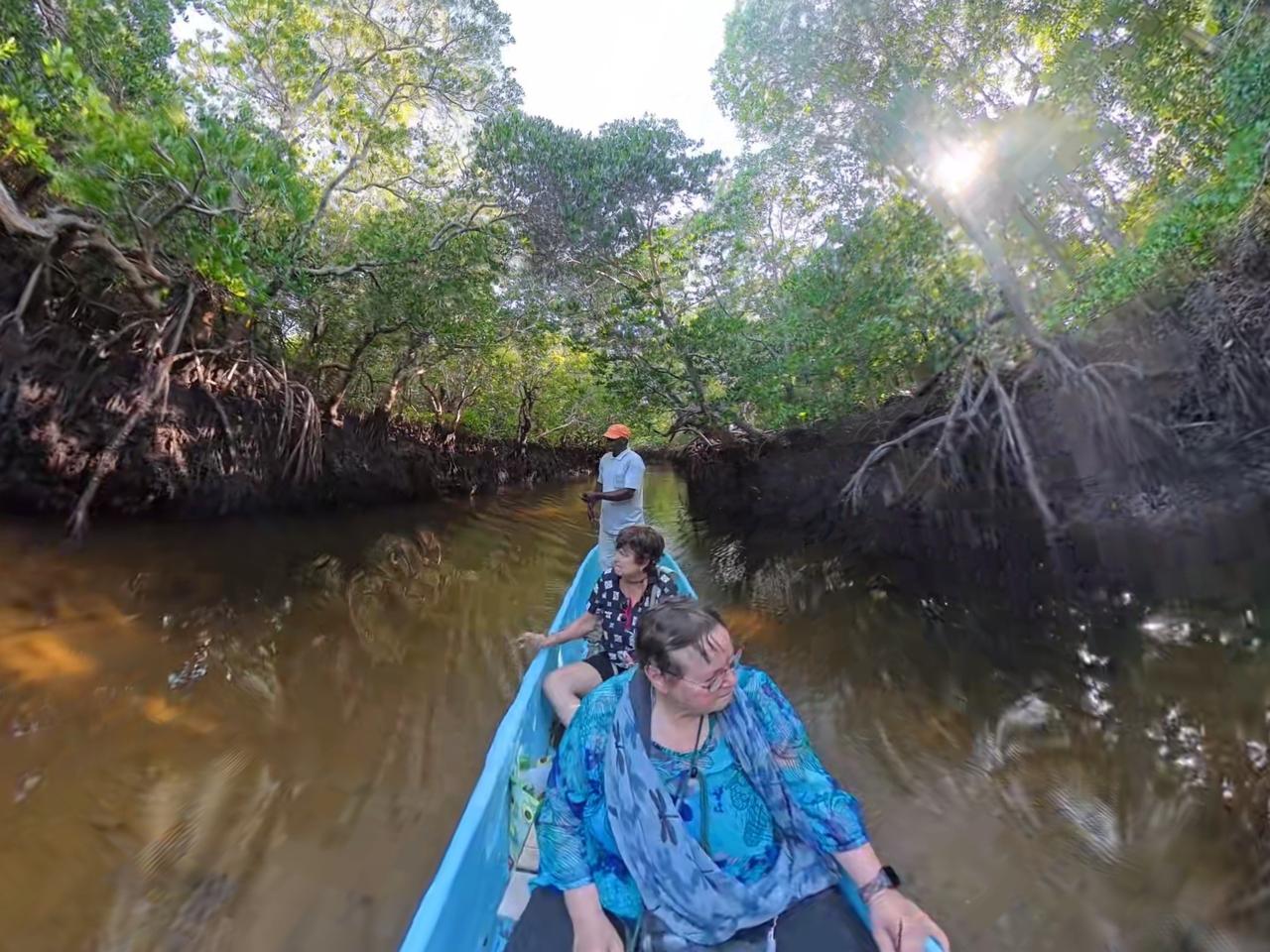 Mangrove Hike, Lunch and Canoe